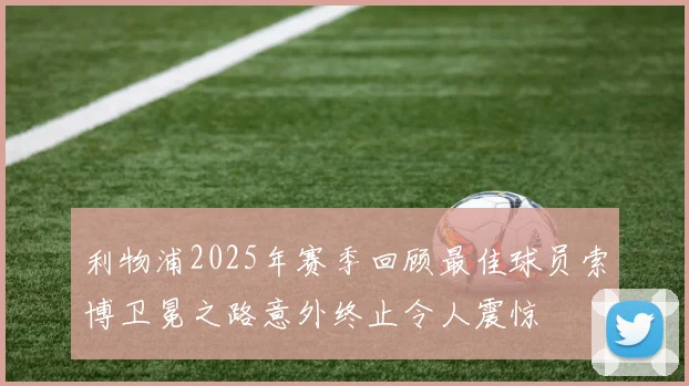 利物浦2025年赛季回顾最佳球员索博卫冕之路意外终止令人震惊