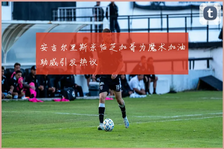 安吉尔里斯亲临芝加哥为魔术加油助威引发热议