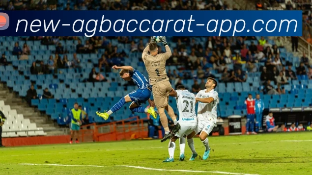 AG百家乐平台生态图