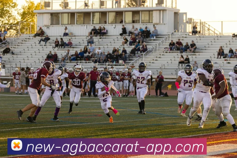 AG百家乐APP 封面图